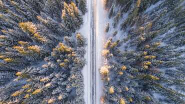 aerial photography of road in forest