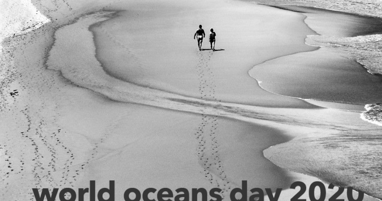 World Oceans Day 2020: June 8th (Bonus)