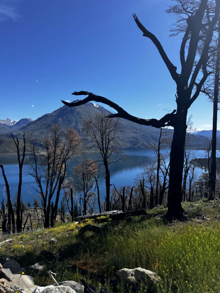 Cerro Boris - first ascend - Patagonia Argentina - Alenka mali